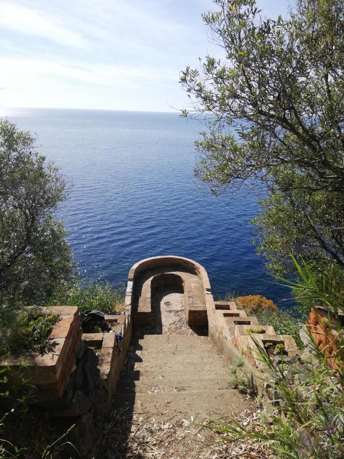 B&B Centro Storico 900 Palmi Dış mekan fotoğraf