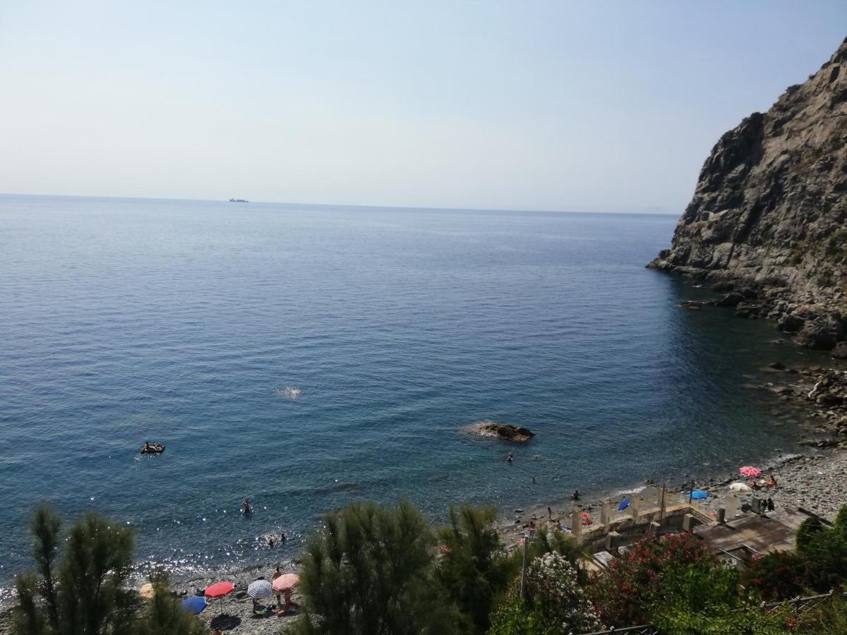 B&B Centro Storico 900 Palmi Dış mekan fotoğraf