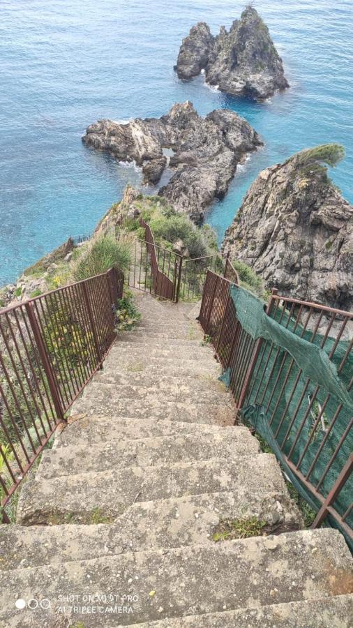 B&B Centro Storico 900 Palmi Dış mekan fotoğraf
